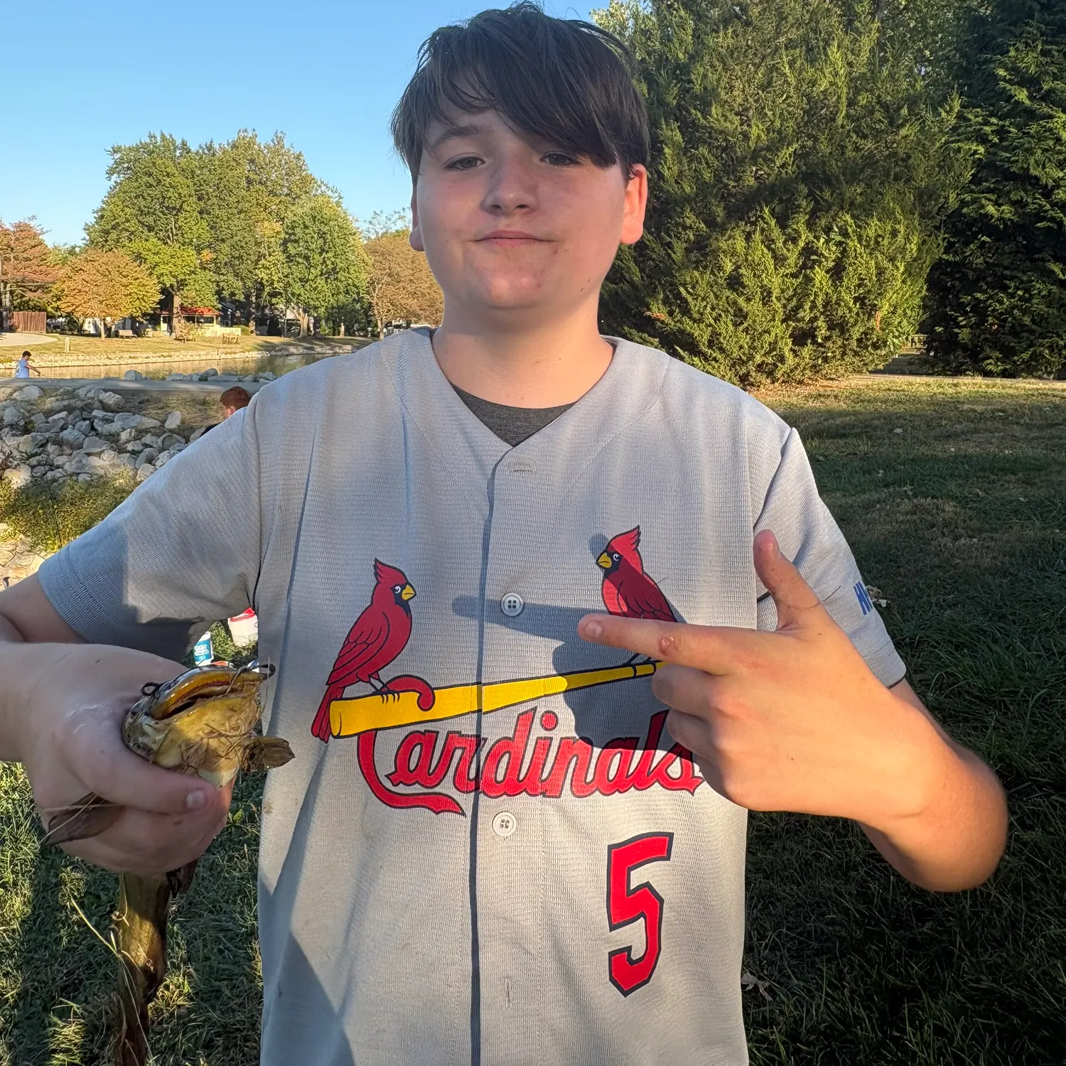 Yellow bullhead caught on Fishbrain