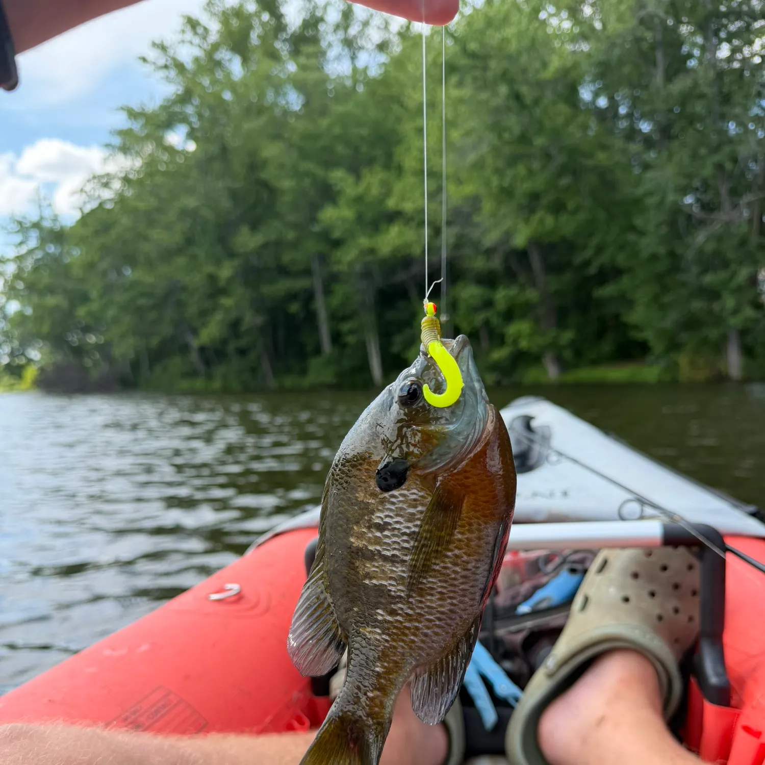 catch