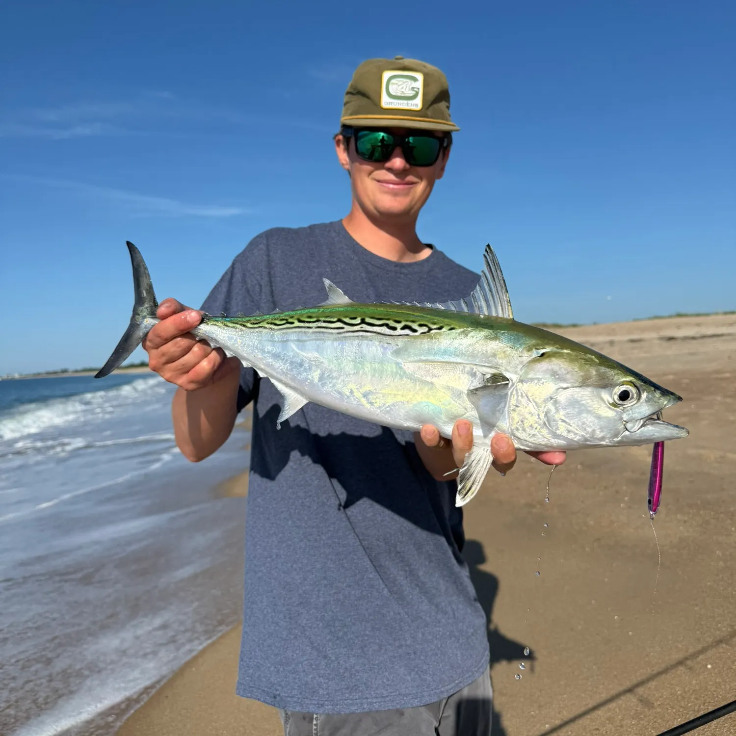 Little tunny caught on Fishbrain