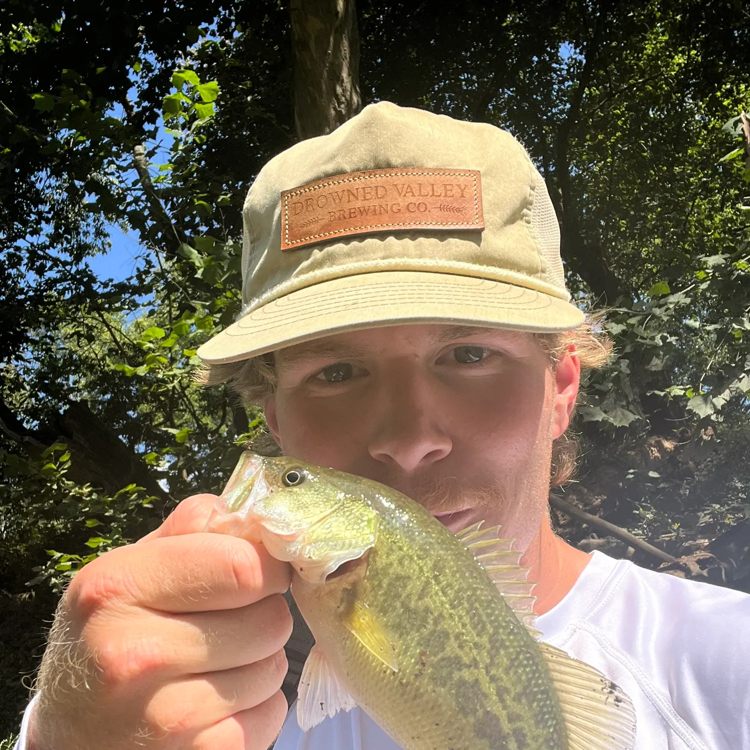 Spotted bass caught on Fishbrain