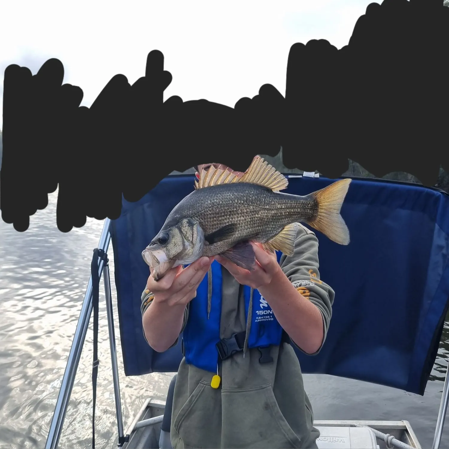 The most recent Estuary perch catches on Fishbrain