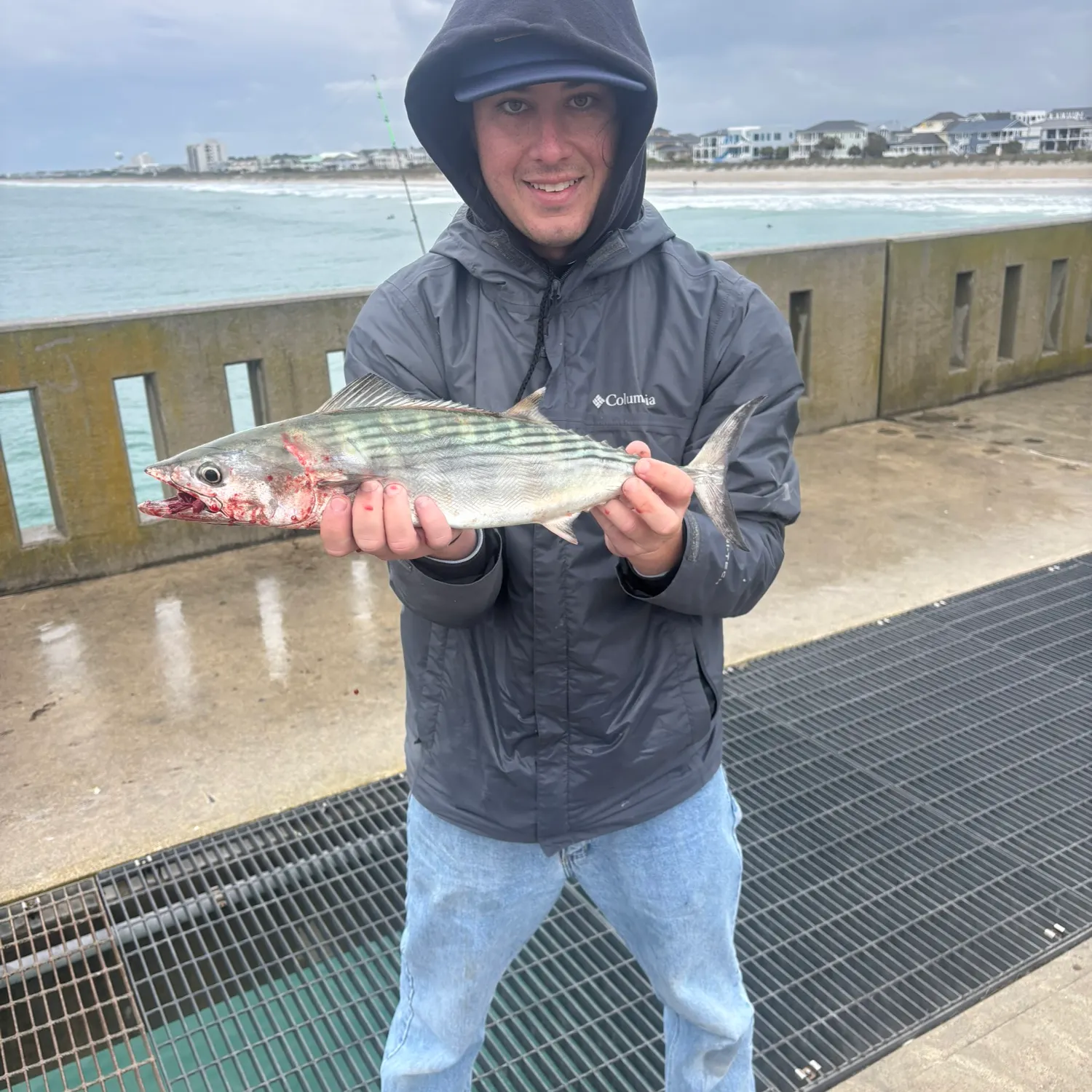 The most recent Atlantic bonito catches on Fishbrain