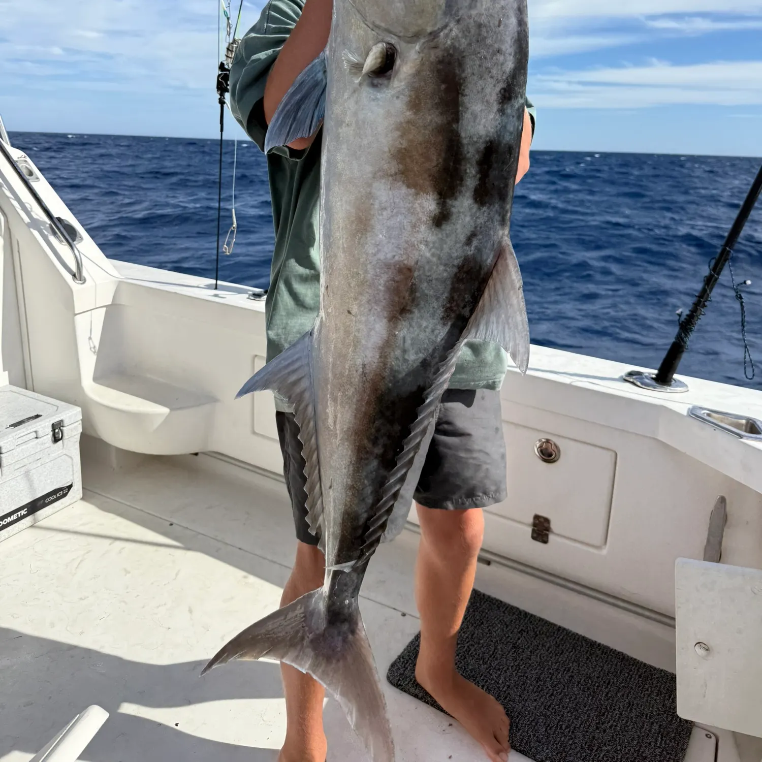 The most recent Greater amberjack catches on Fishbrain