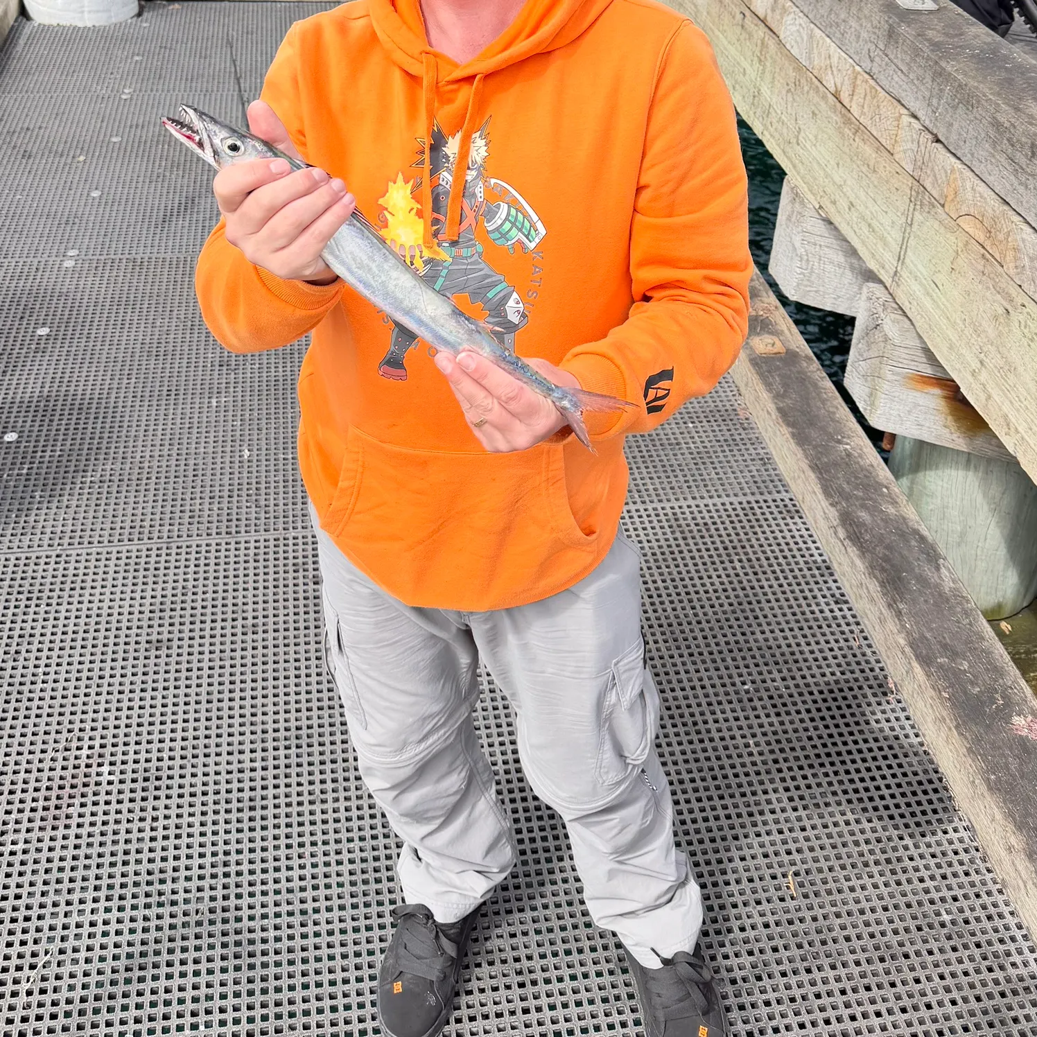 Snoek caught on Fishbrain