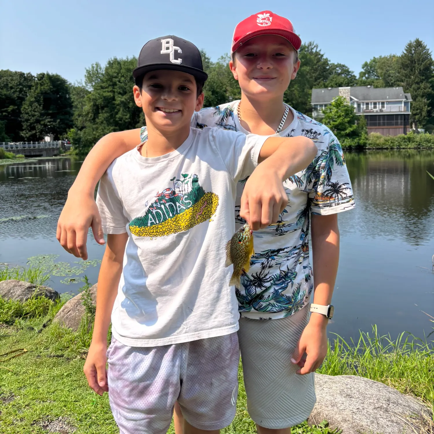 Pumpkinseed caught on Fishbrain