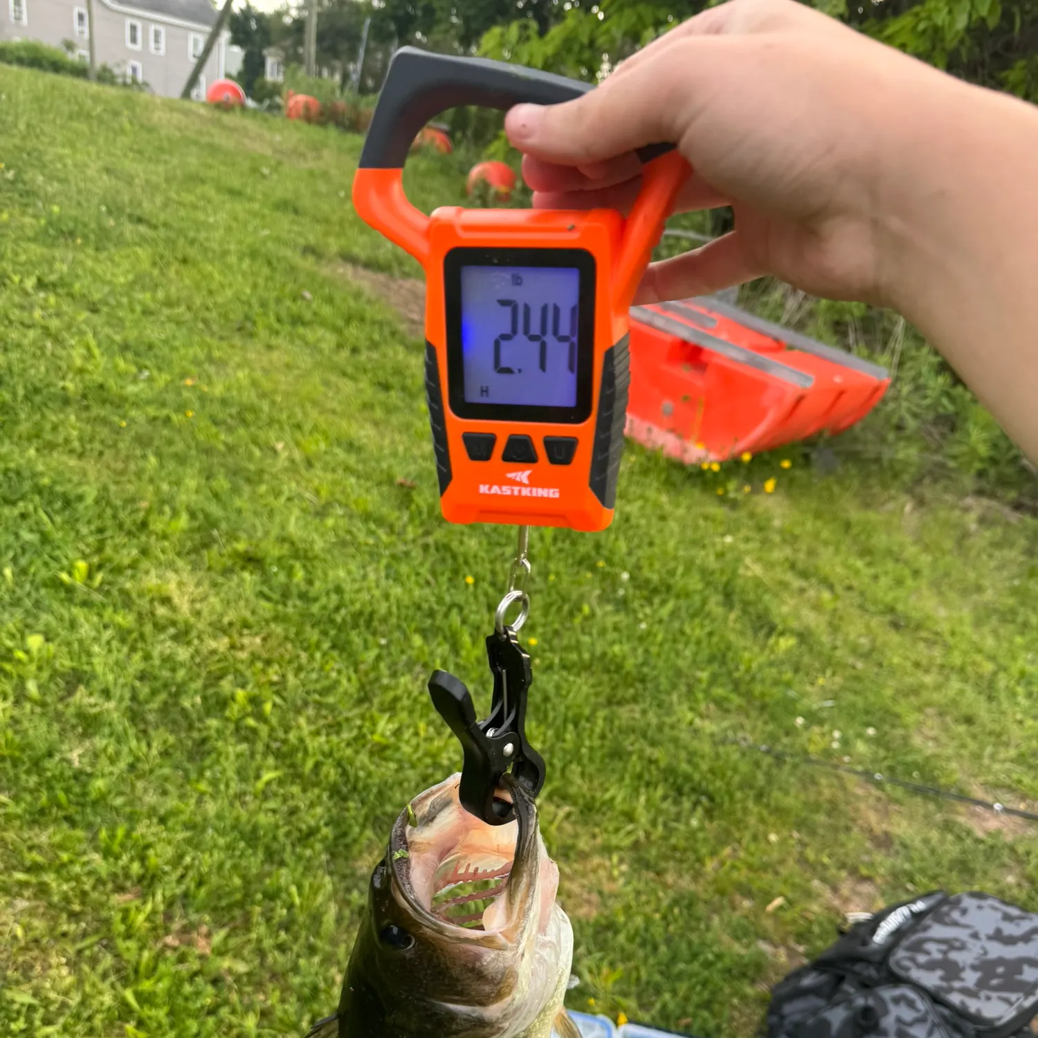 catch