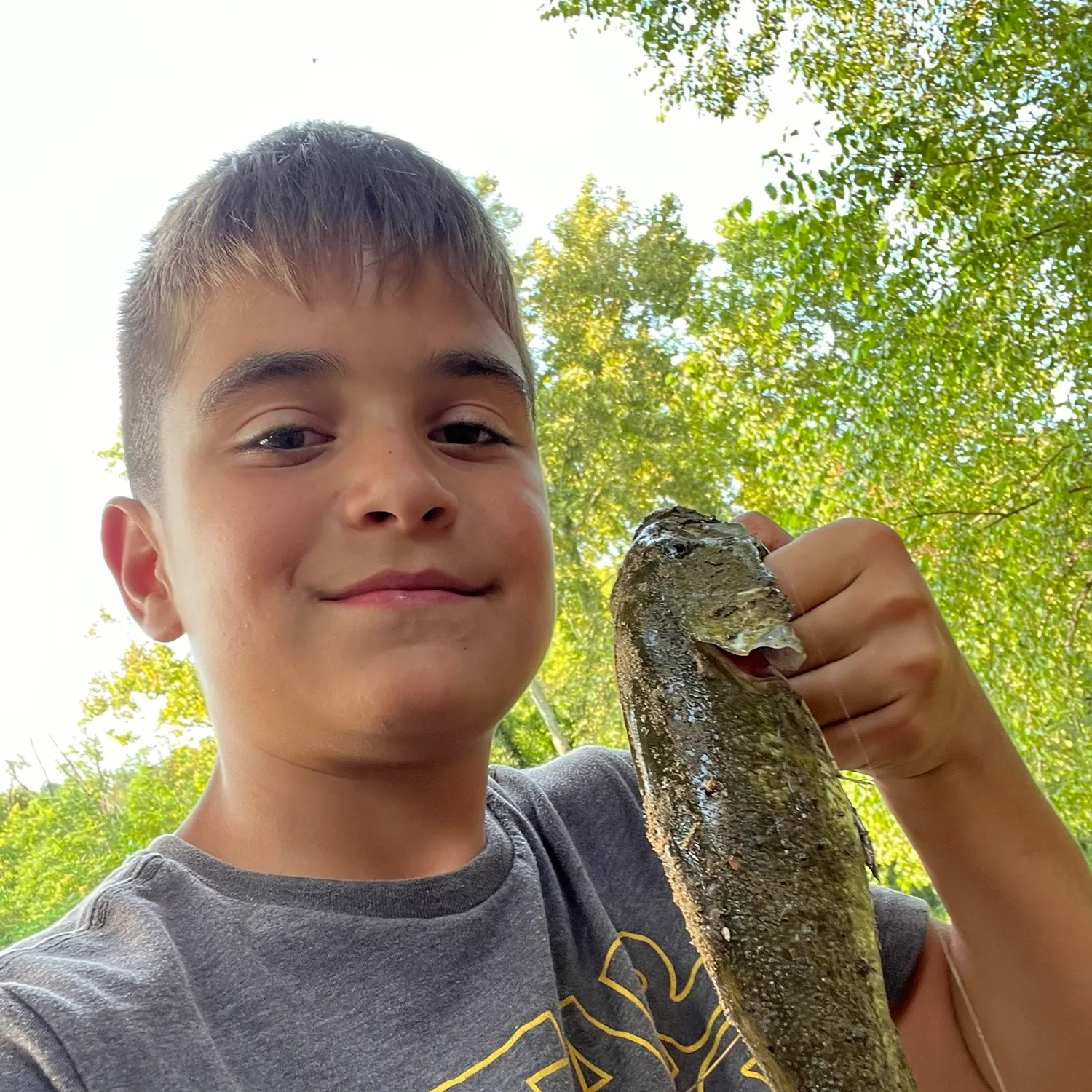 The most recent Neosho bass catches on Fishbrain