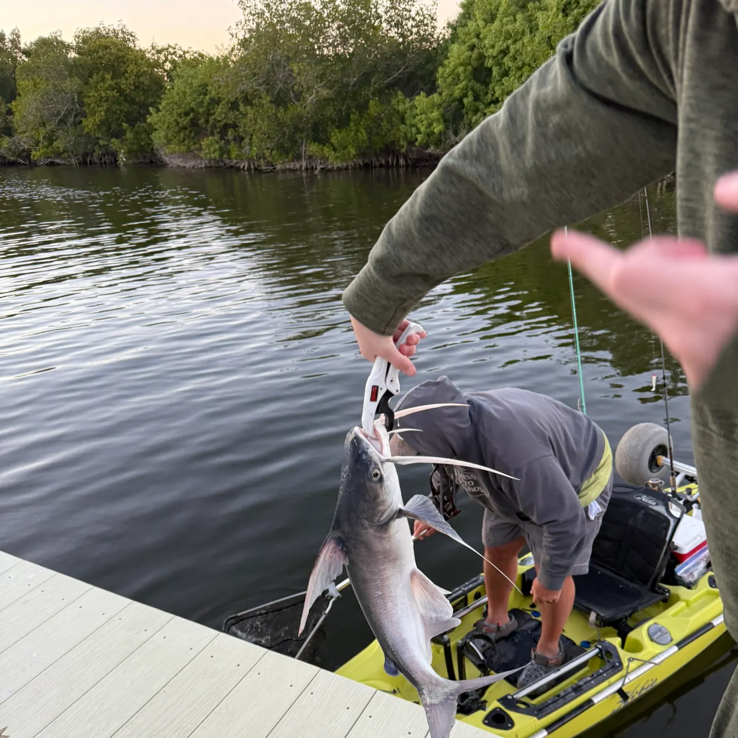 recently logged catches