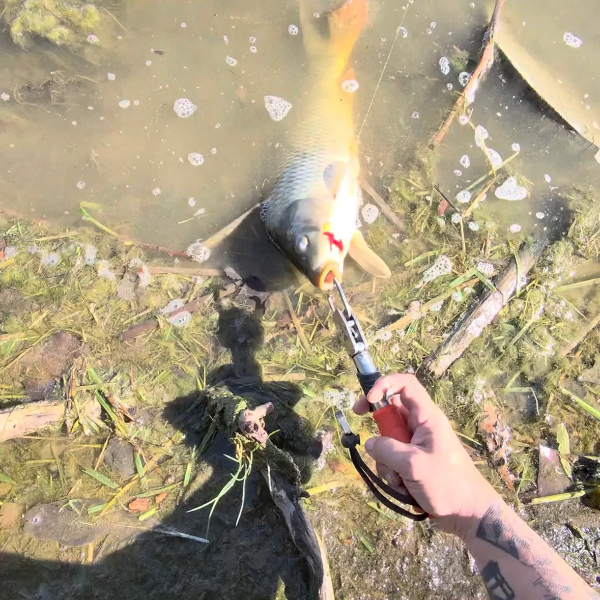 catch
