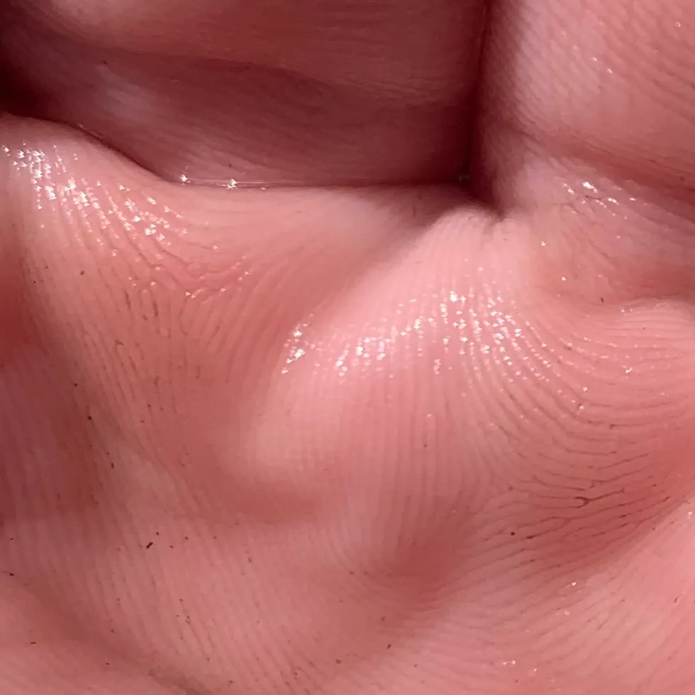 The most recent Eastern mosquitofish catches on Fishbrain