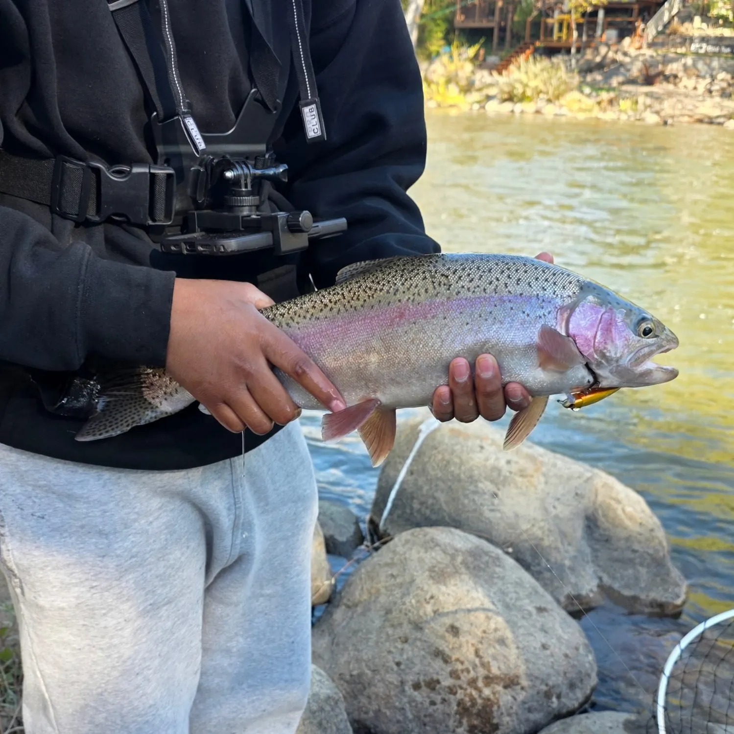 Rainbow trout caught on Fishbrain