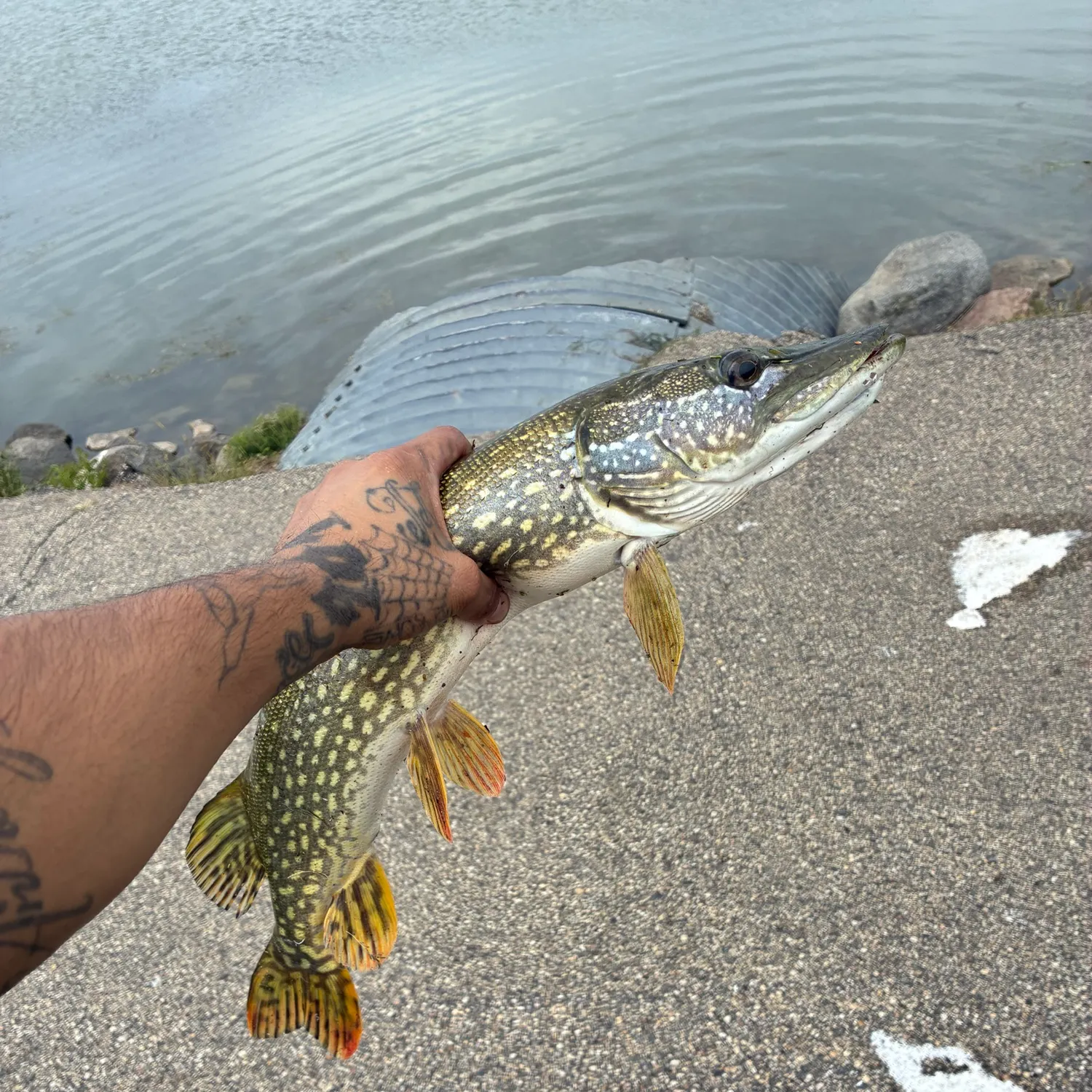 catch