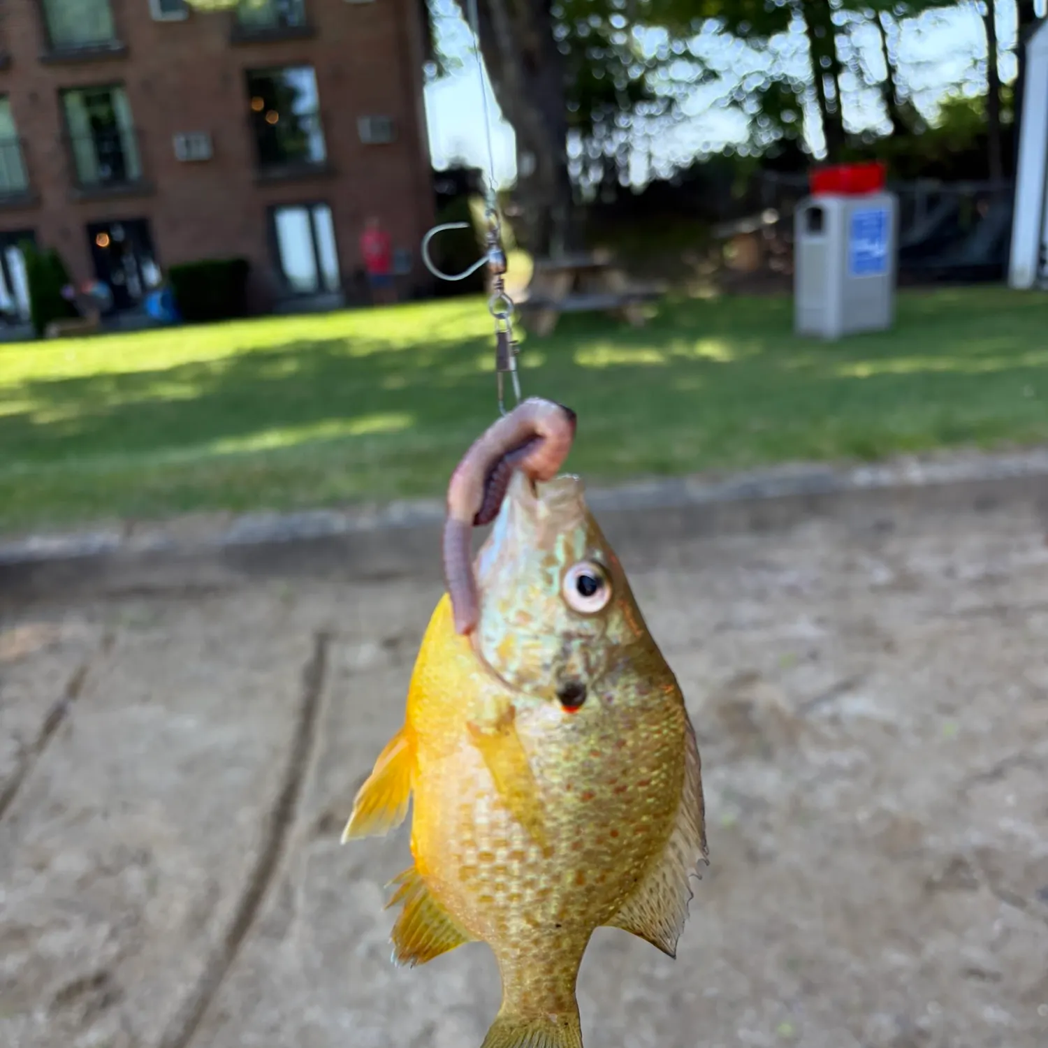 catch