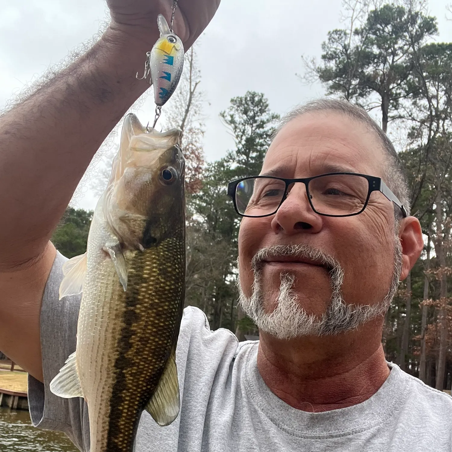 The most recent Spotted bass catches on Fishbrain