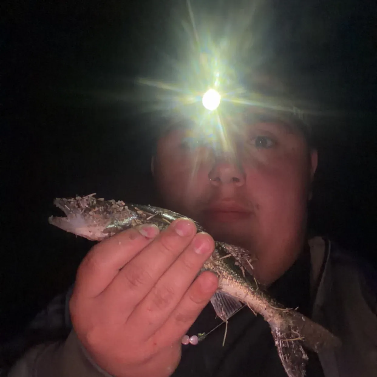 Walleye caught on Fishbrain