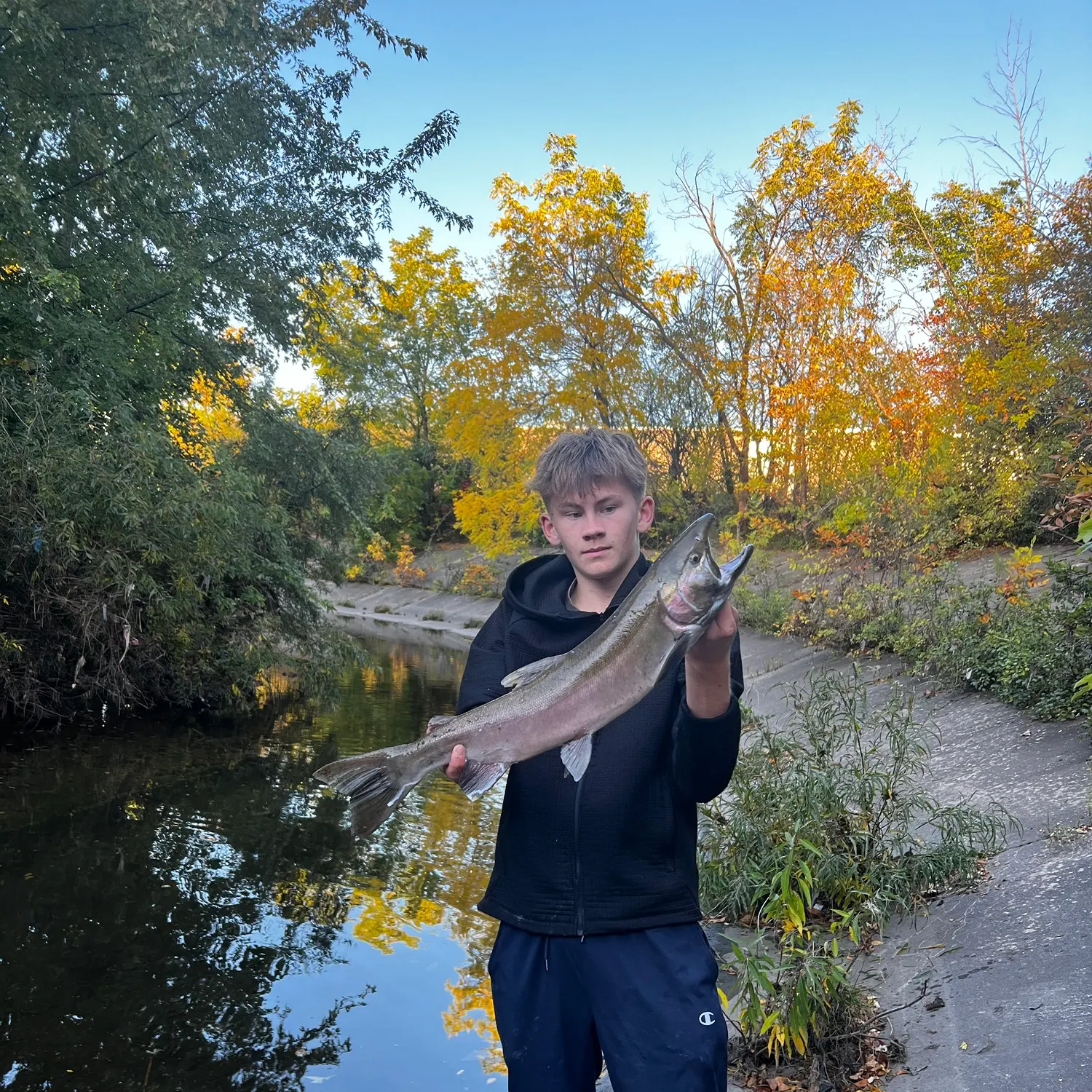 Coho salmon caught on Fishbrain