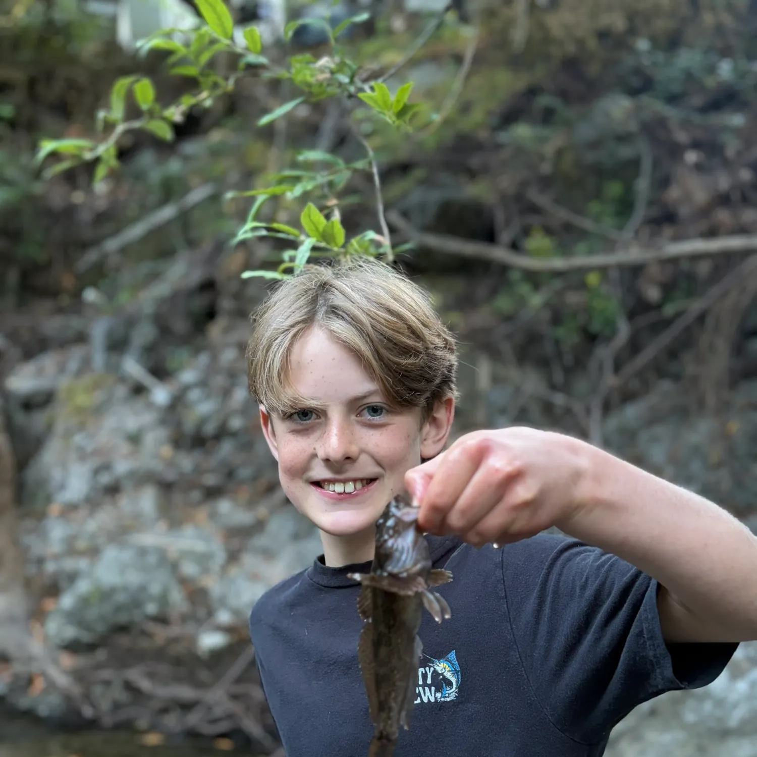 The most recent Gulf toadfish catches on Fishbrain