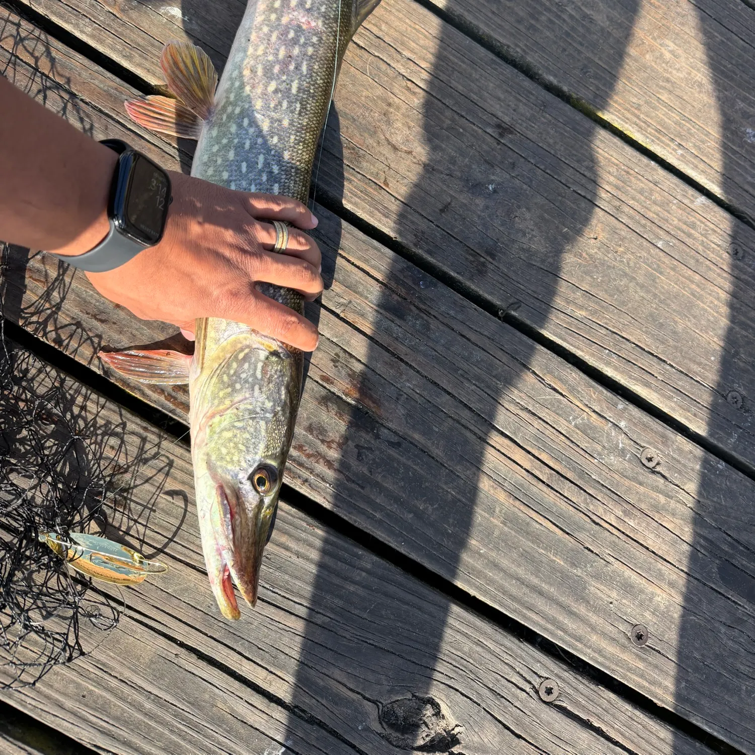 catch