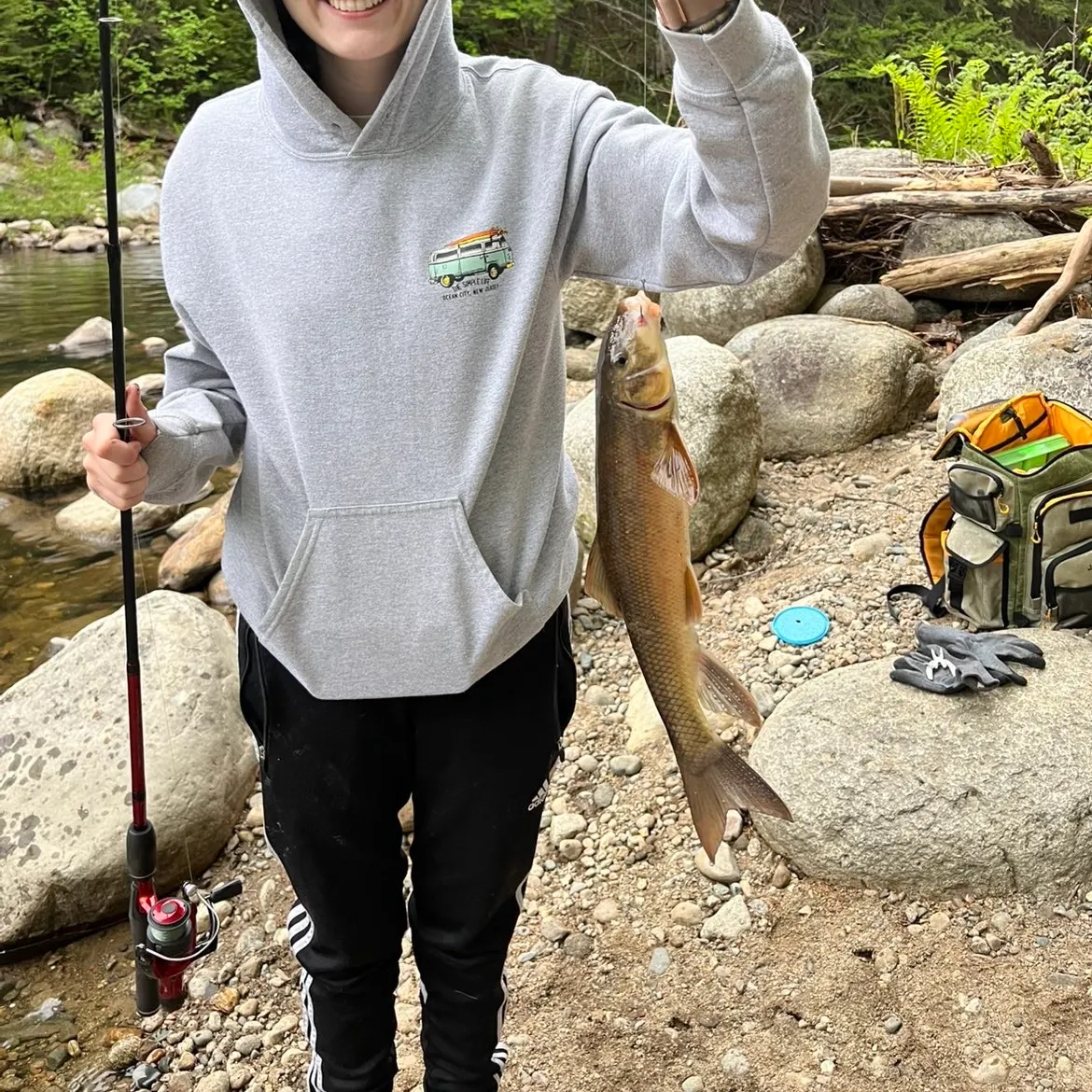 recently logged catches