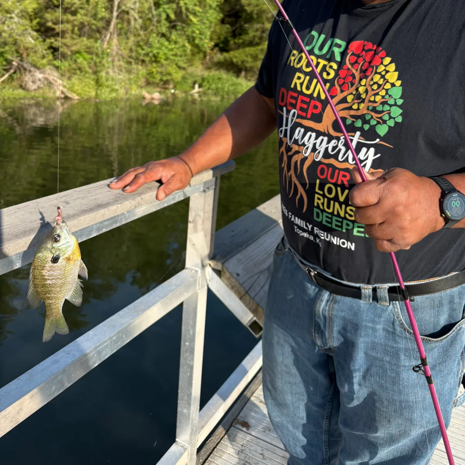 Bluegill caught on Fishbrain