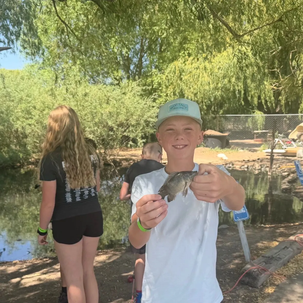 The most recent Longfin tilapia catches on Fishbrain