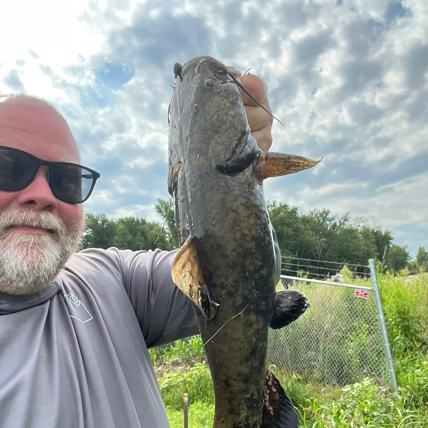 Flathead catfish caught on Fishbrain