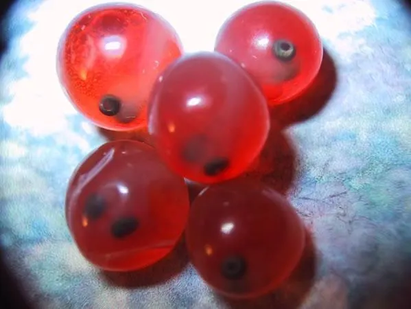 Eggs