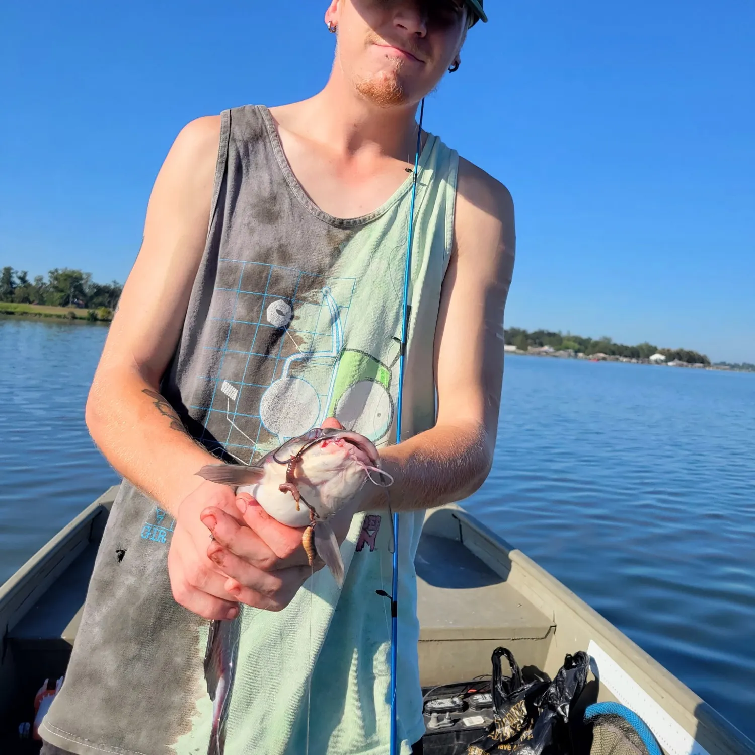 Blue catfish caught on Fishbrain