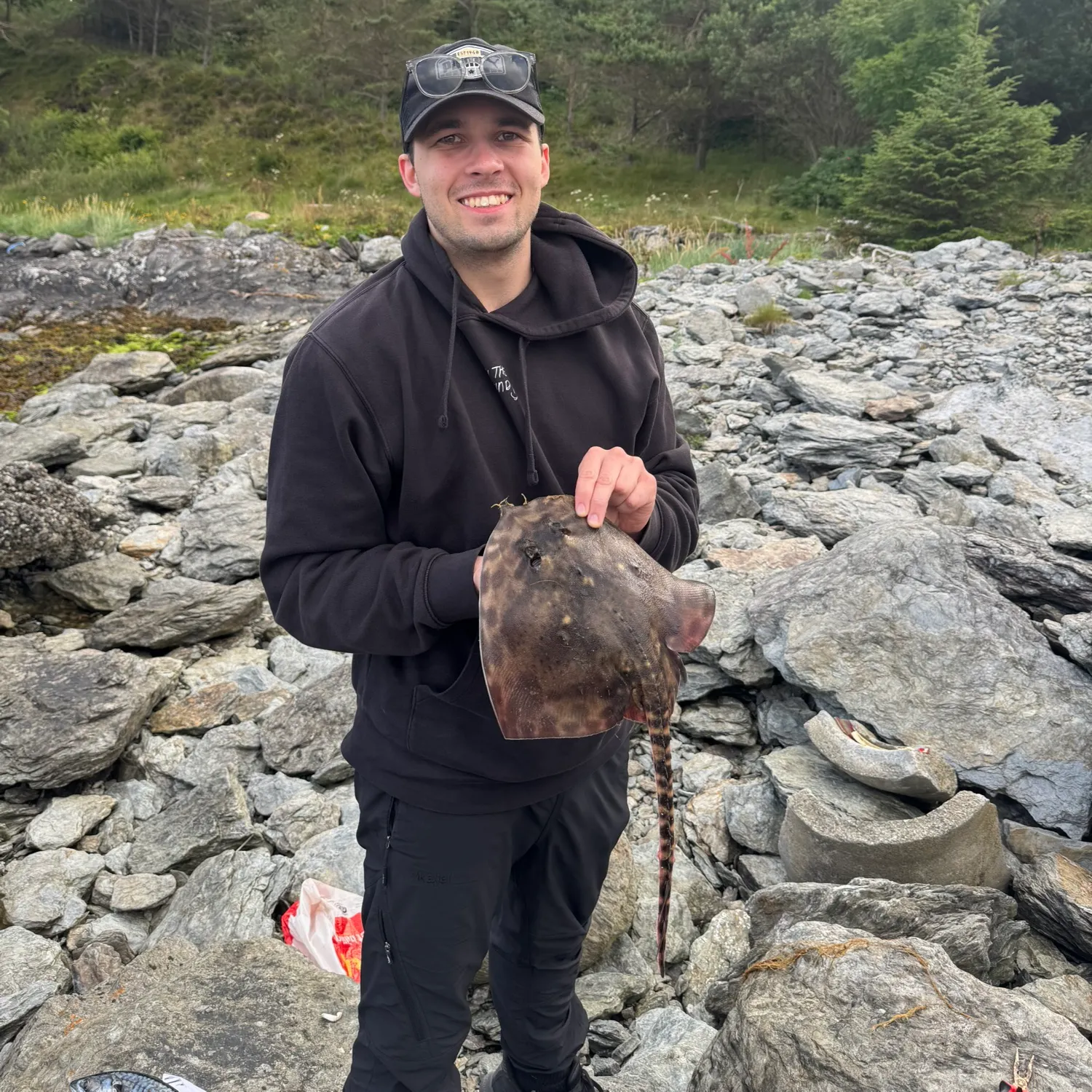 The most recent Thornback ray catches on Fishbrain