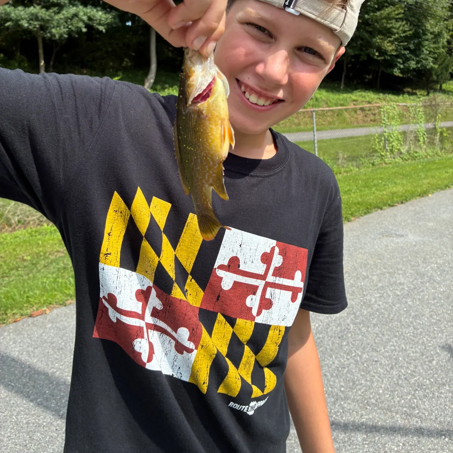 Green sunfish caught on Fishbrain