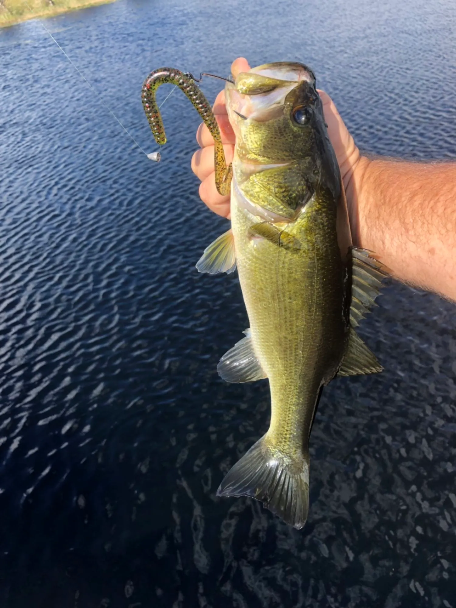 Post image from OsceolaOutbackAdventures