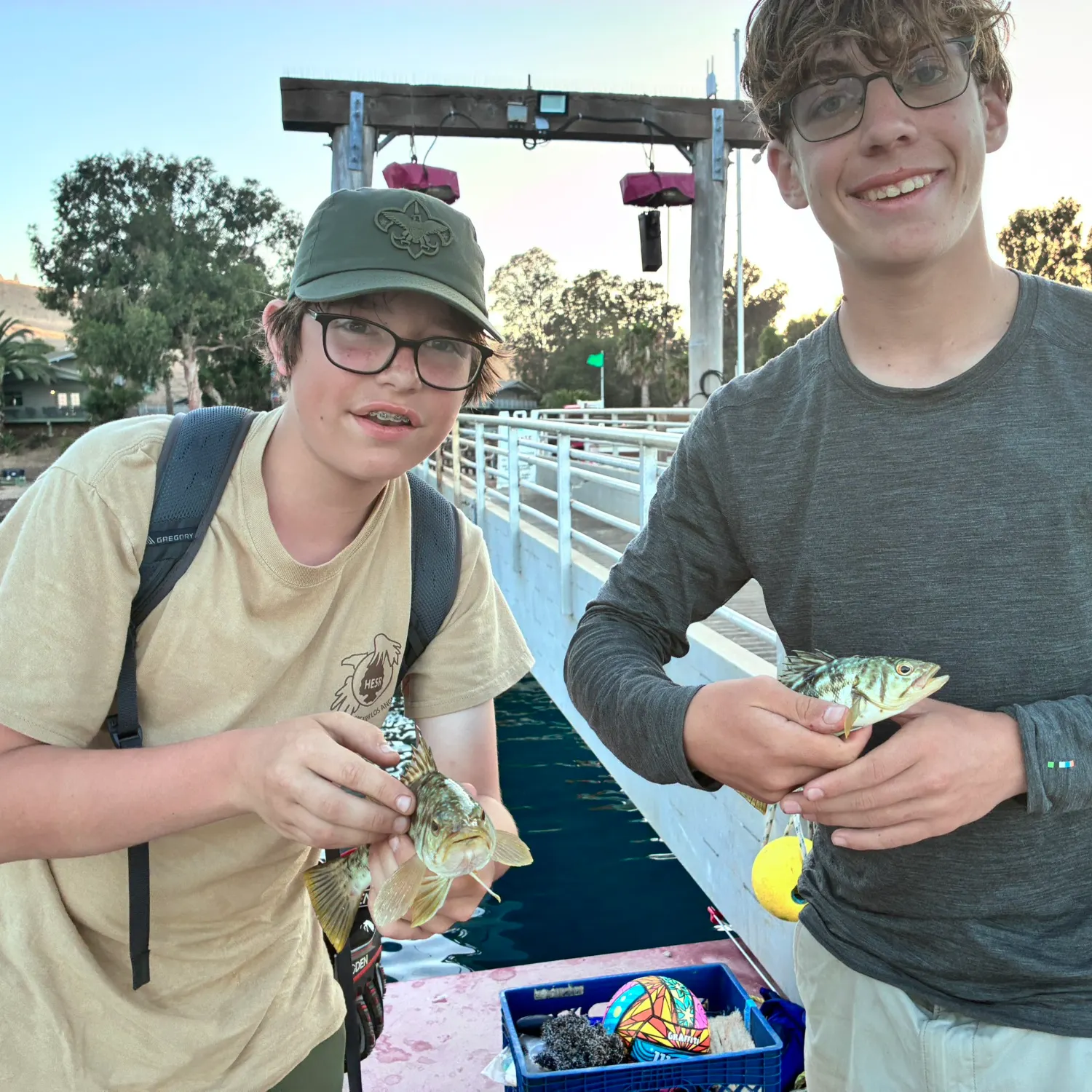 Spotted bass caught on Fishbrain