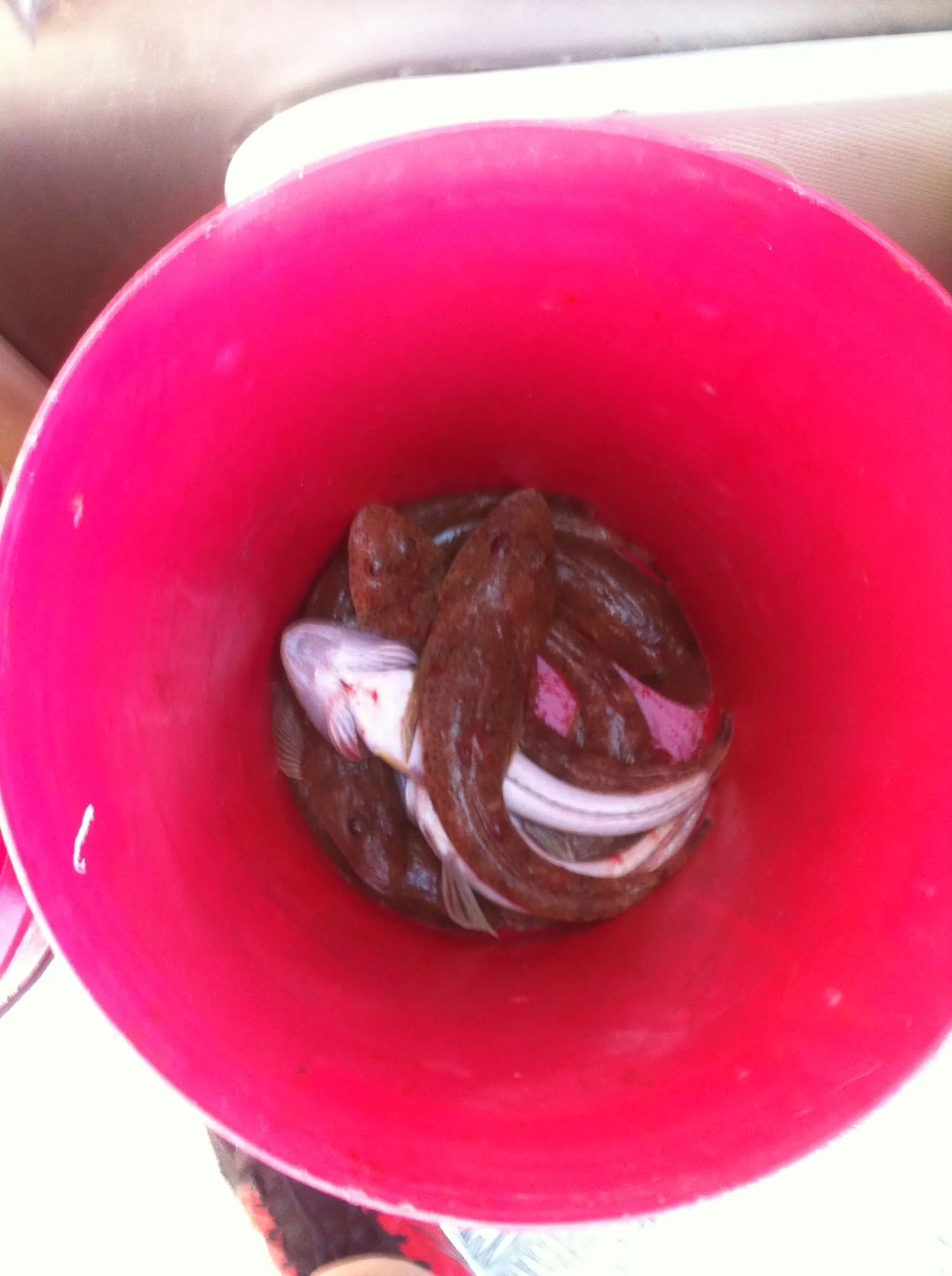 Post image from twebber7903