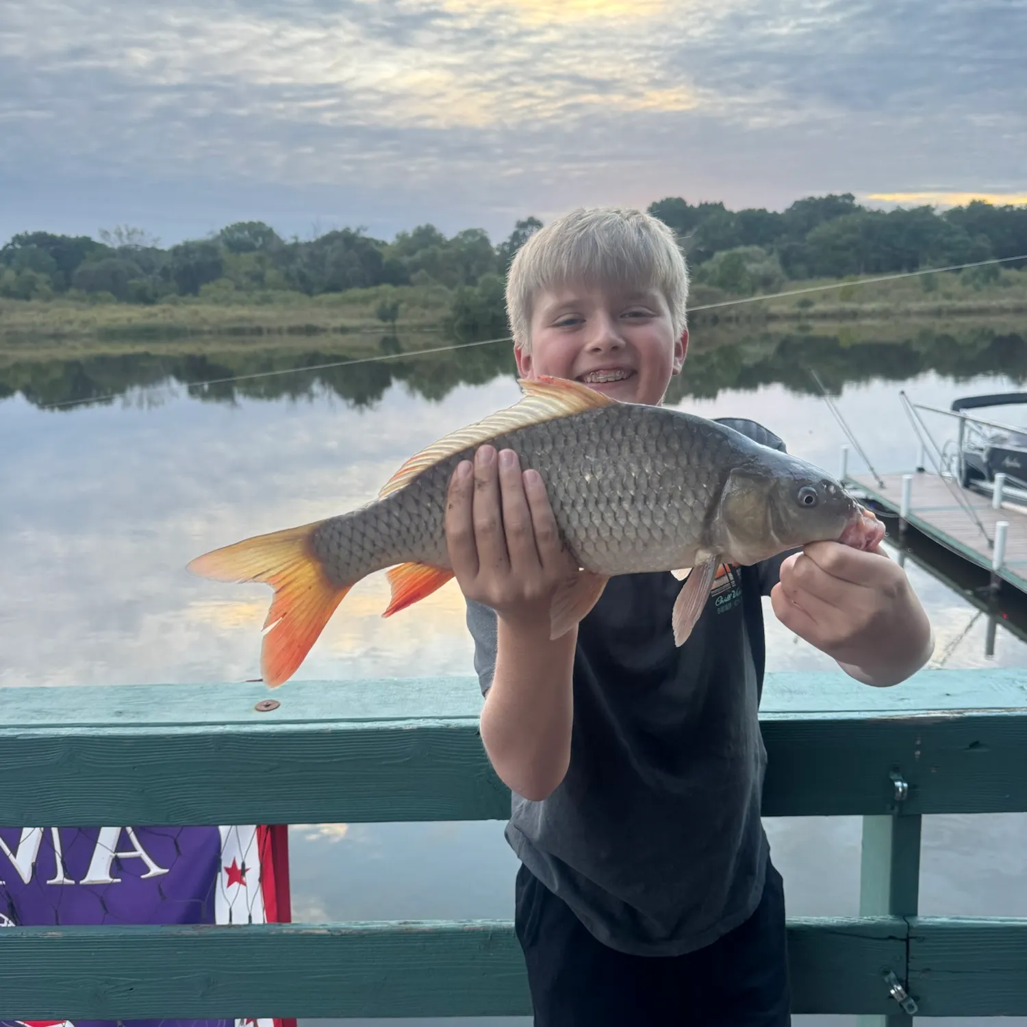 Common carp caught on Fishbrain