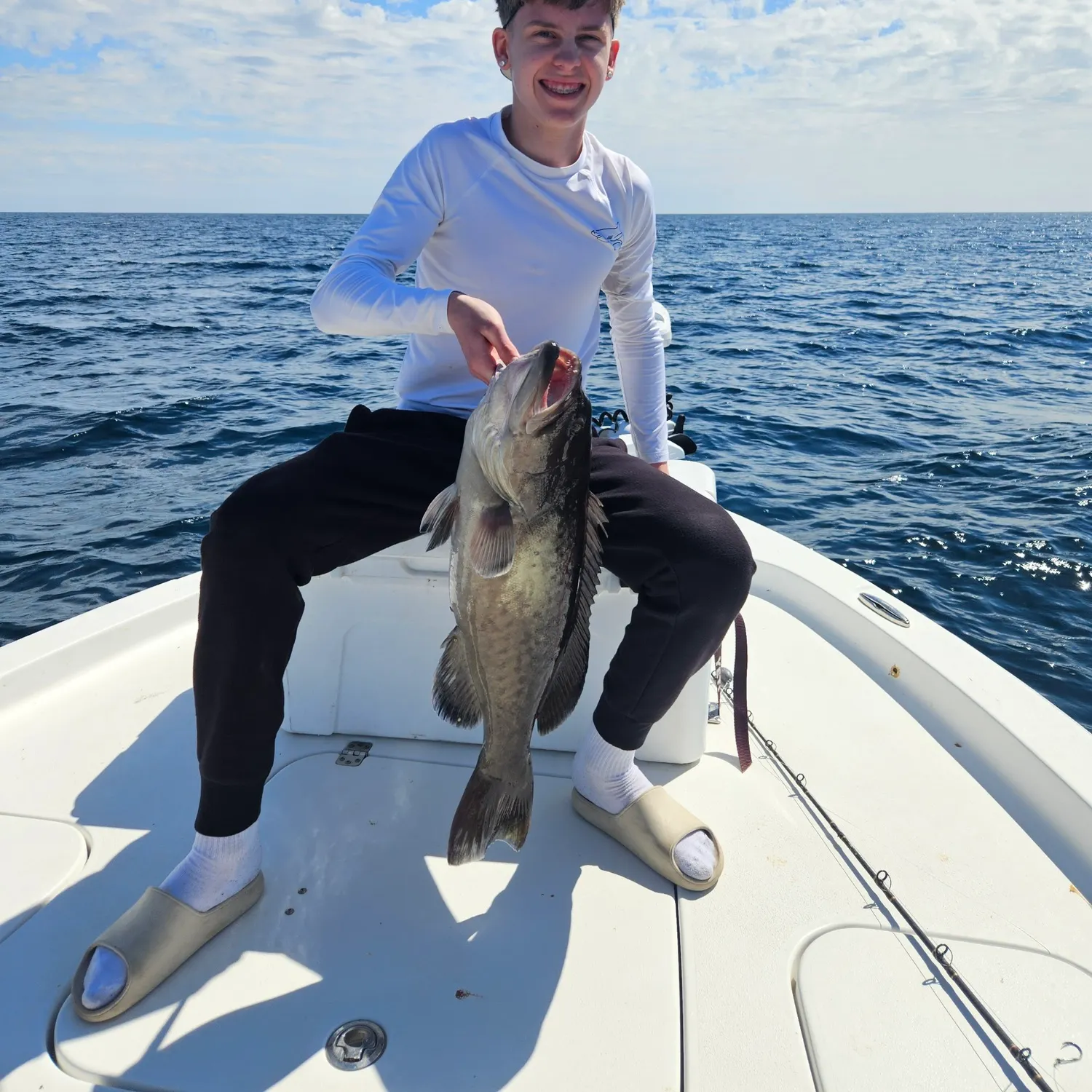 The most recent Gag grouper catches on Fishbrain