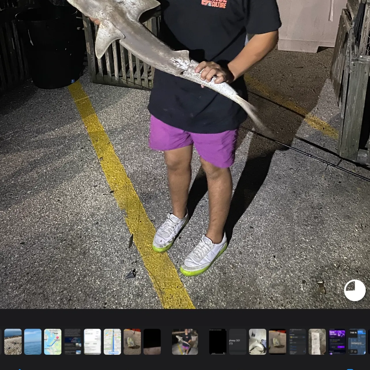 recently logged catches