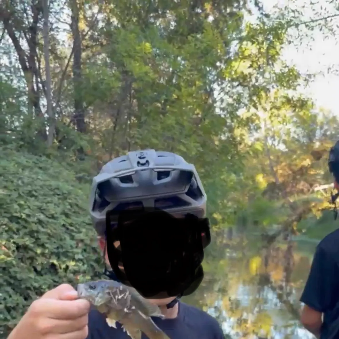 The most recent Redear sunfish catches on Fishbrain