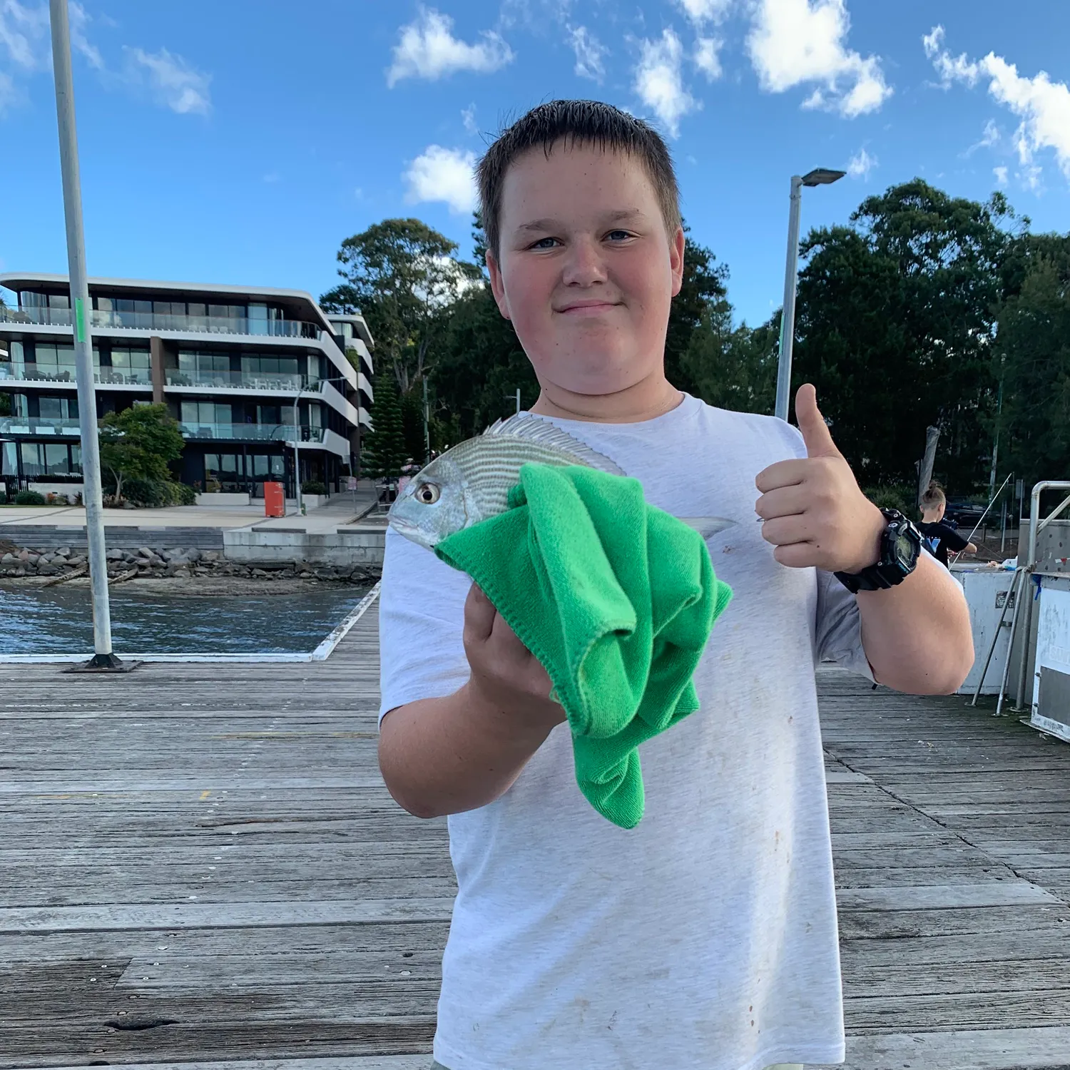 The most recent Surf bream catches on Fishbrain