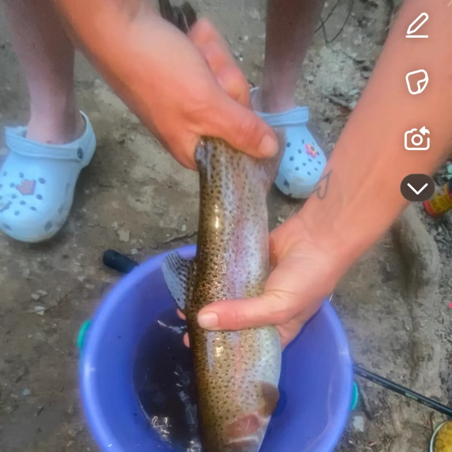 recently logged catches