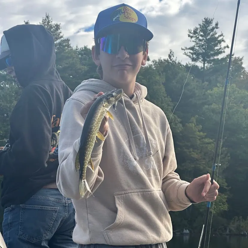 Northern pike caught on Fishbrain
