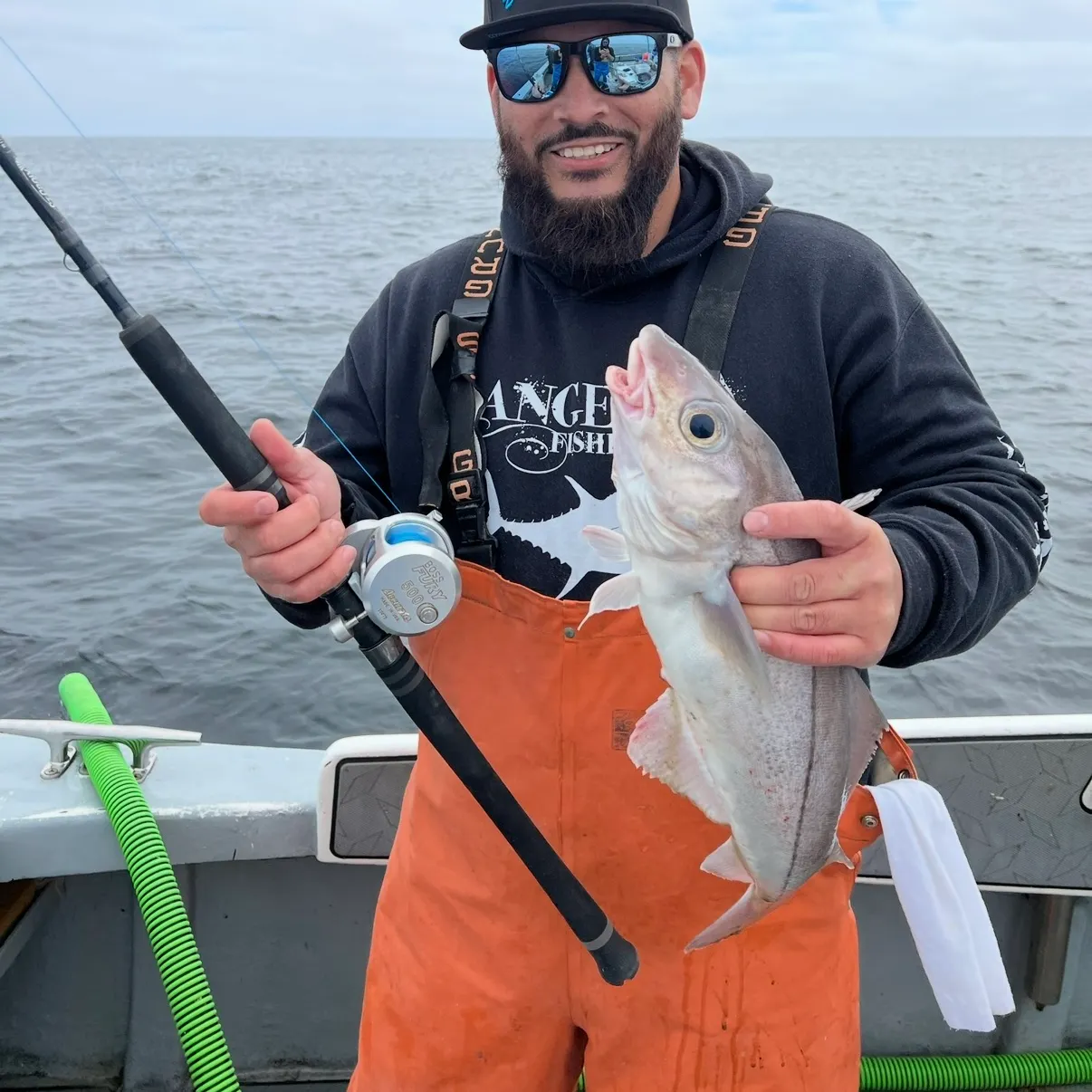 The most recent Haddock catches on Fishbrain