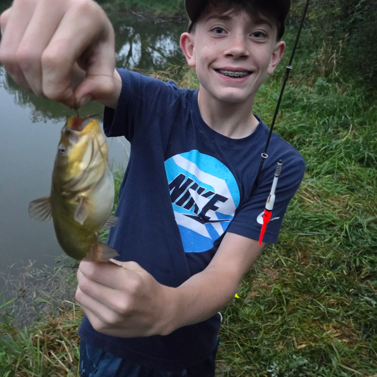 Yellow bullhead caught on Fishbrain