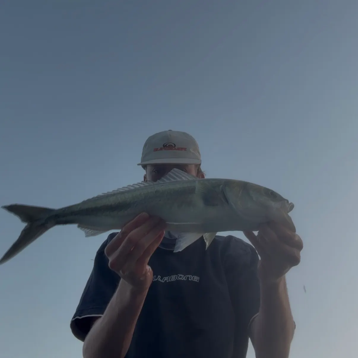 Eastern Australian salmon caught on Fishbrain