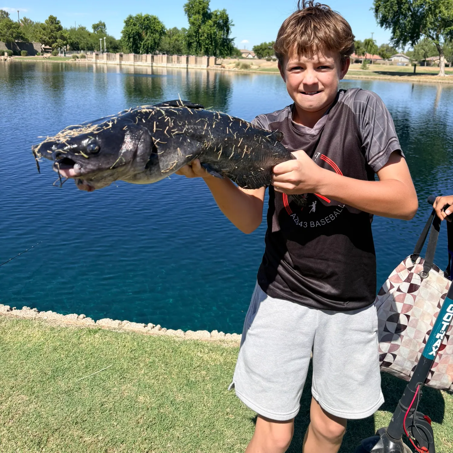 Channel catfish caught on Fishbrain