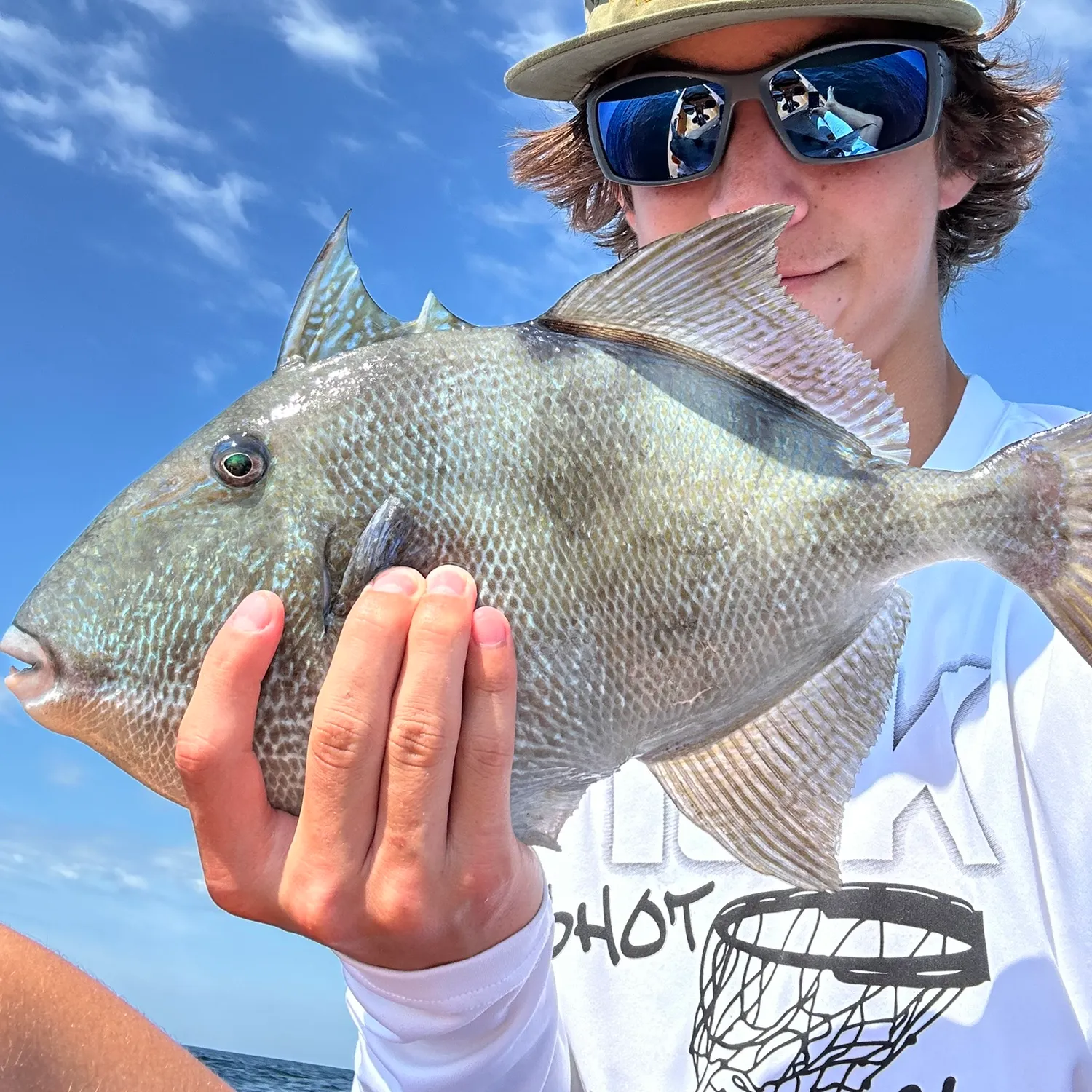 The most recent Grey triggerfish catches on Fishbrain