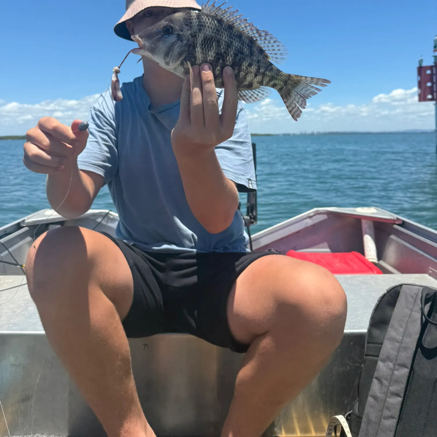 The most recent Grass emperor catches on Fishbrain