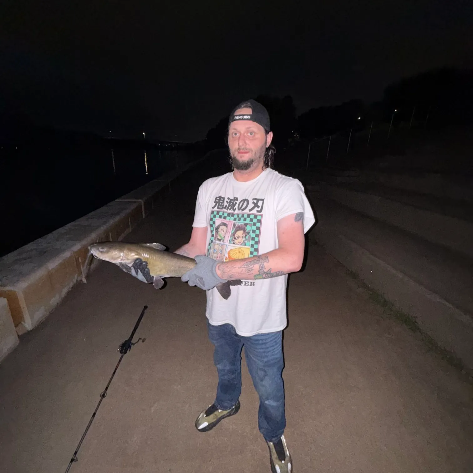 Channel catfish caught on Fishbrain