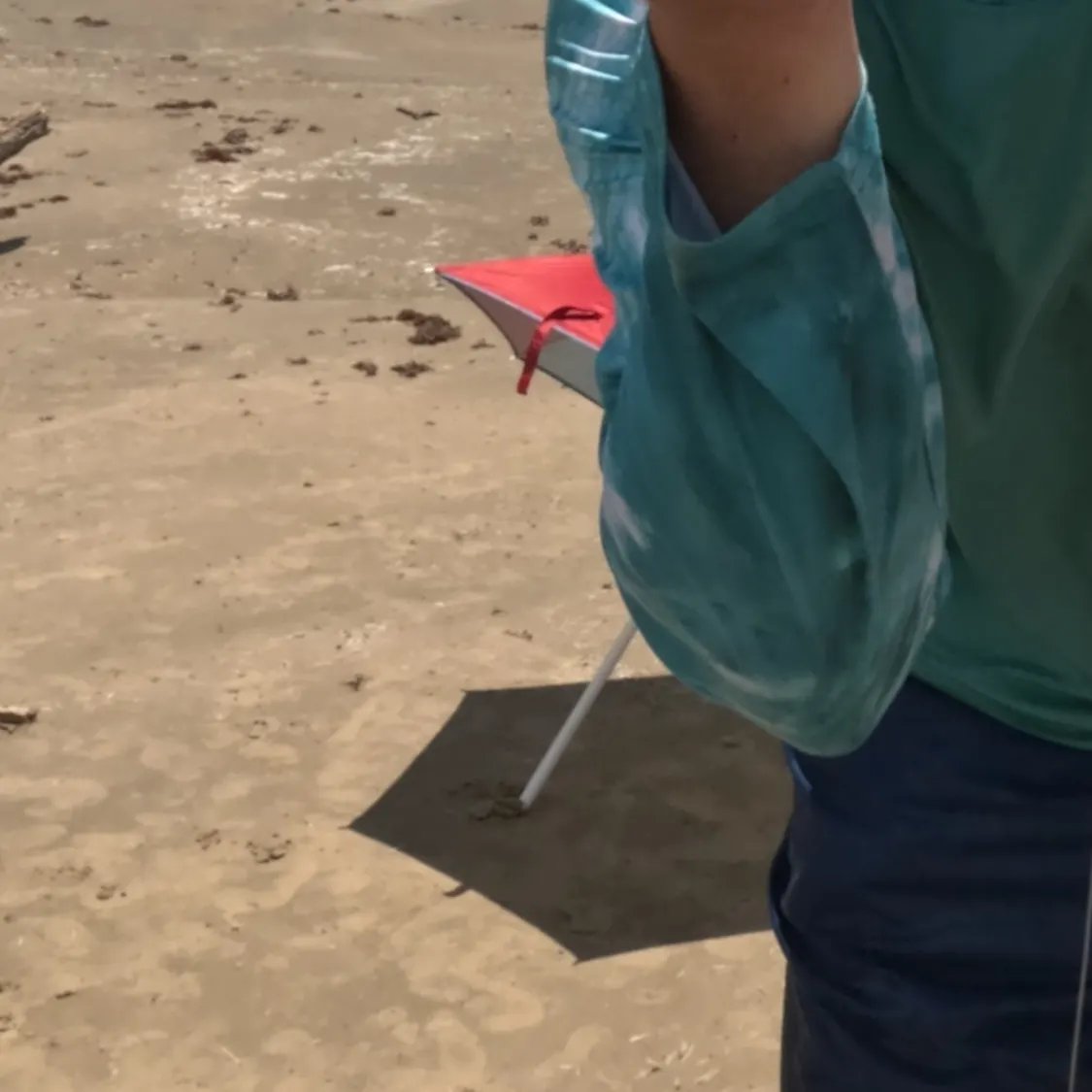 The most recent Southern kingcroaker catches on Fishbrain