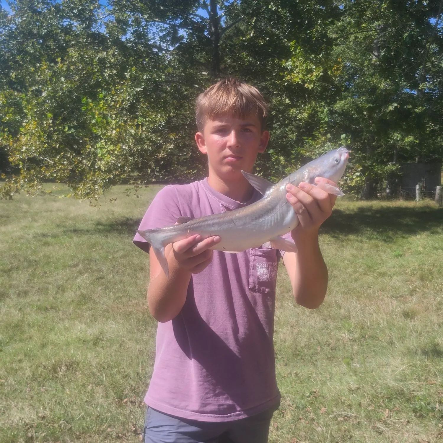 Blue catfish caught on Fishbrain
