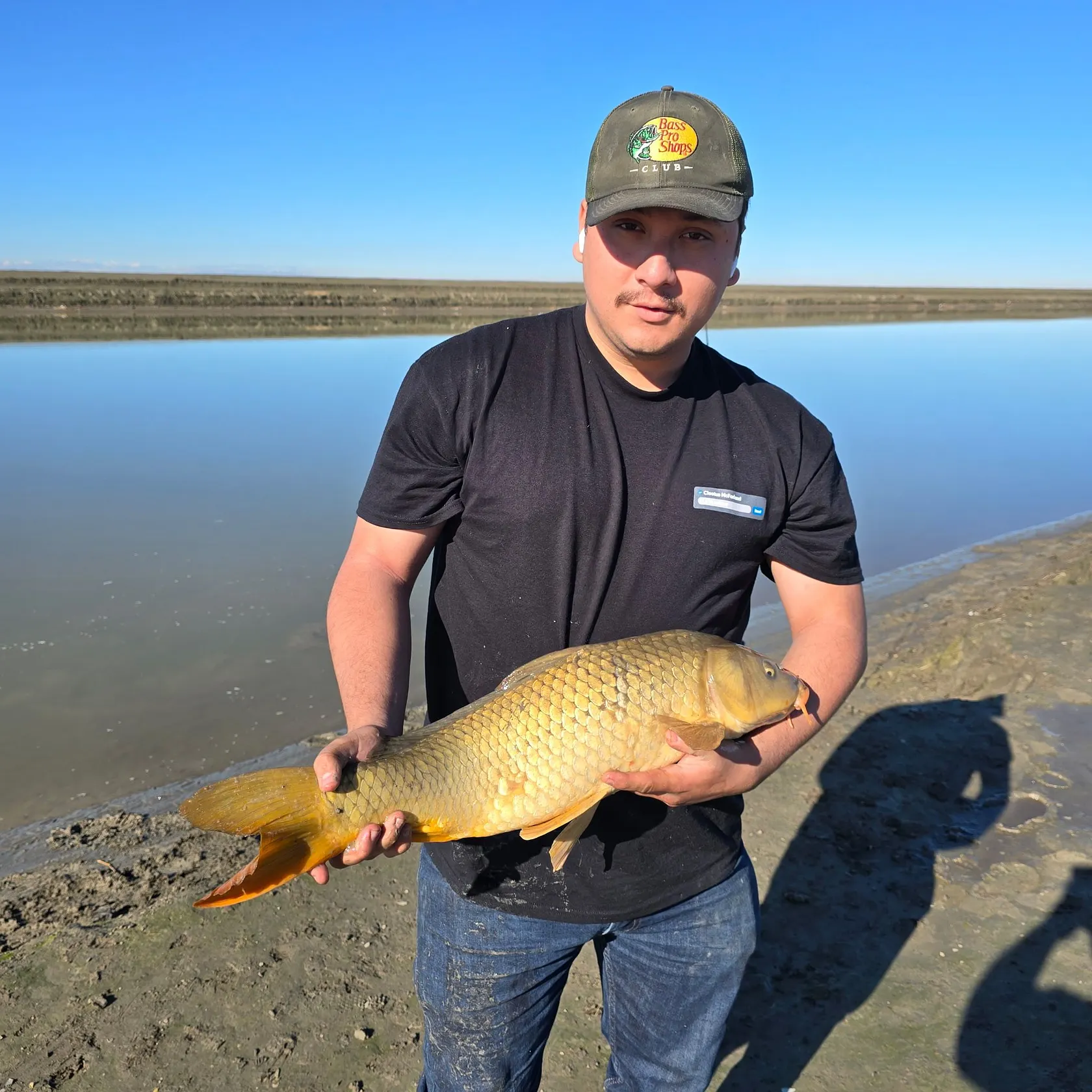 The most recent Common carp catches on Fishbrain